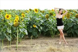 Vanessa A - The Tallest Sunflower-e5f9tahxcy.jpg