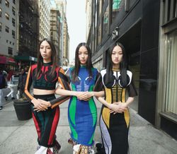 28310052_4160577.jpg